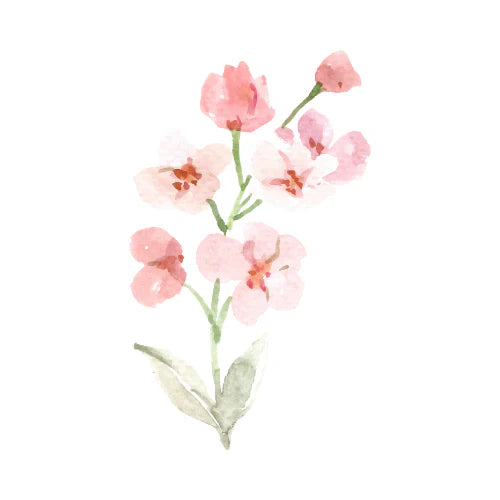 Beginner Trouble-Shooting Alerts